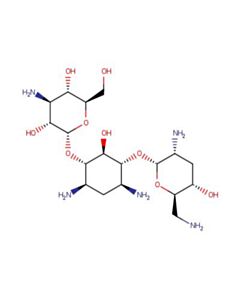 Astatech TOBRAMYCIN BASE; 1G; Purity 95%; MDL-MFCD00077885